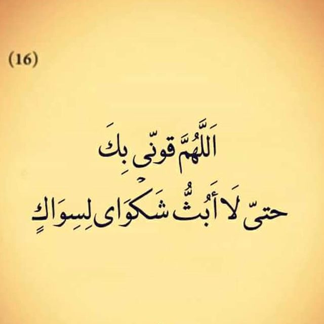 ��� ��������_zu8QQ