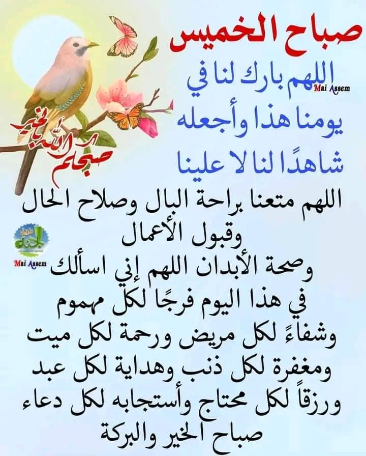 Balsam abdalateef Nasr_hTePL