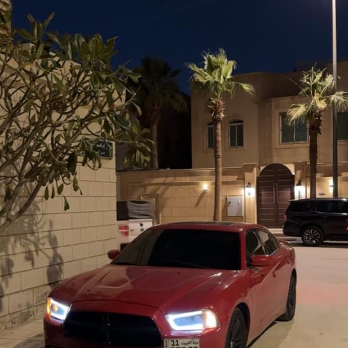 ���� ����_v82w4