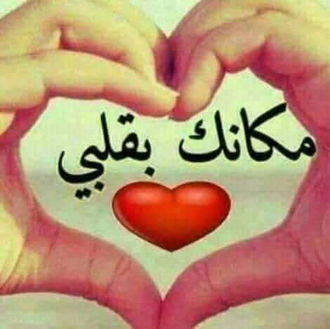 ��� �����_EzDXb