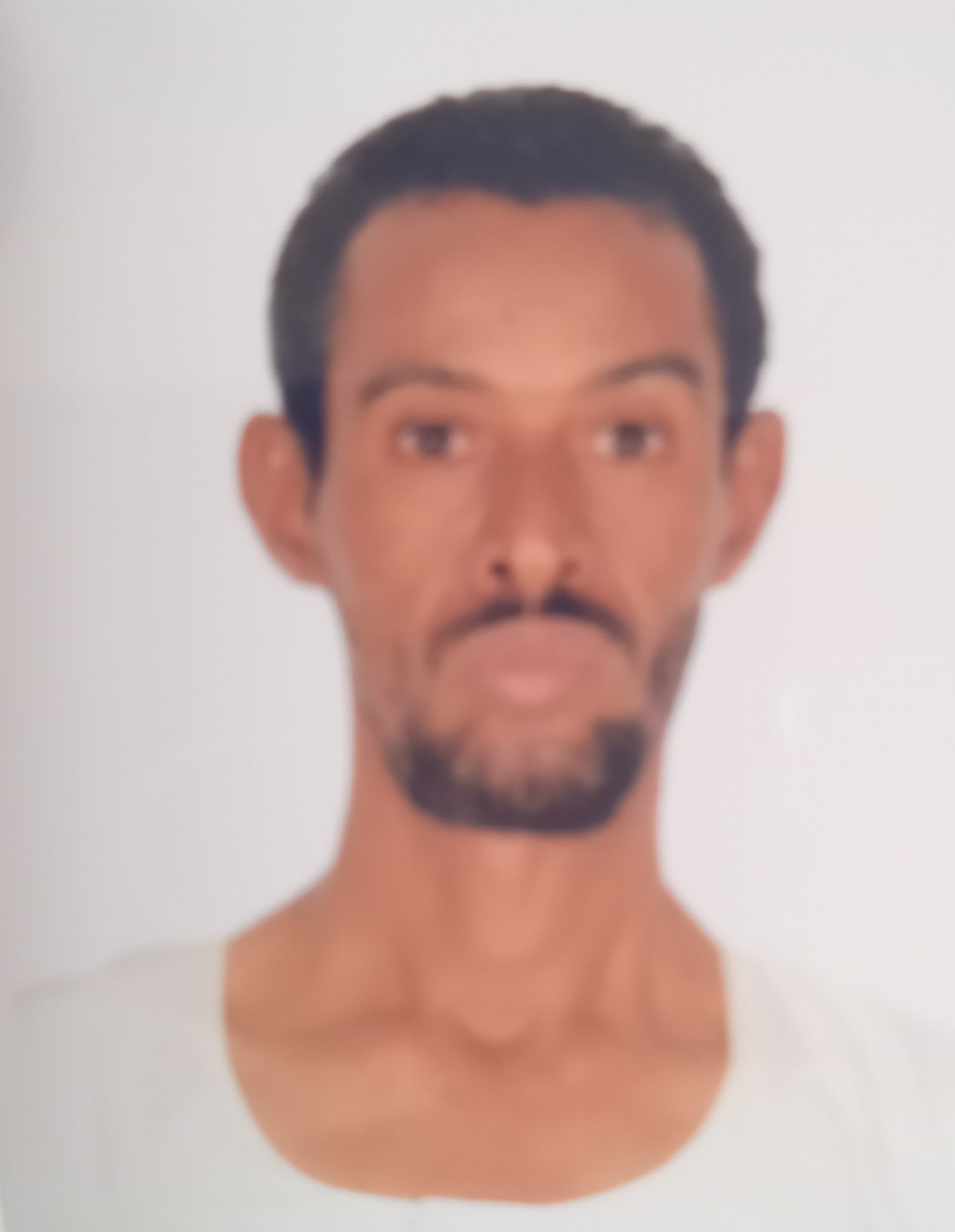 Hamed123456
