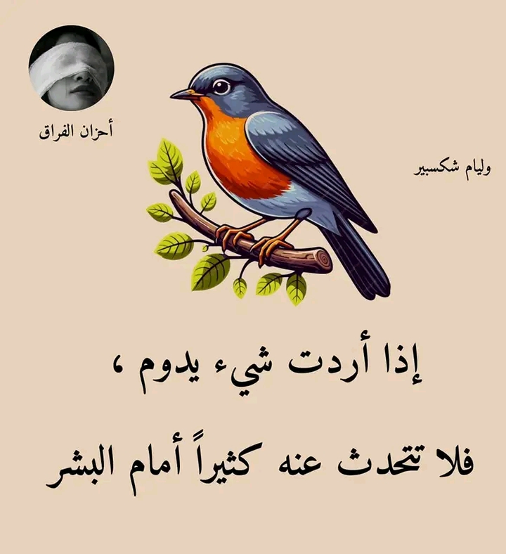 ������� ����� �����__yQB3