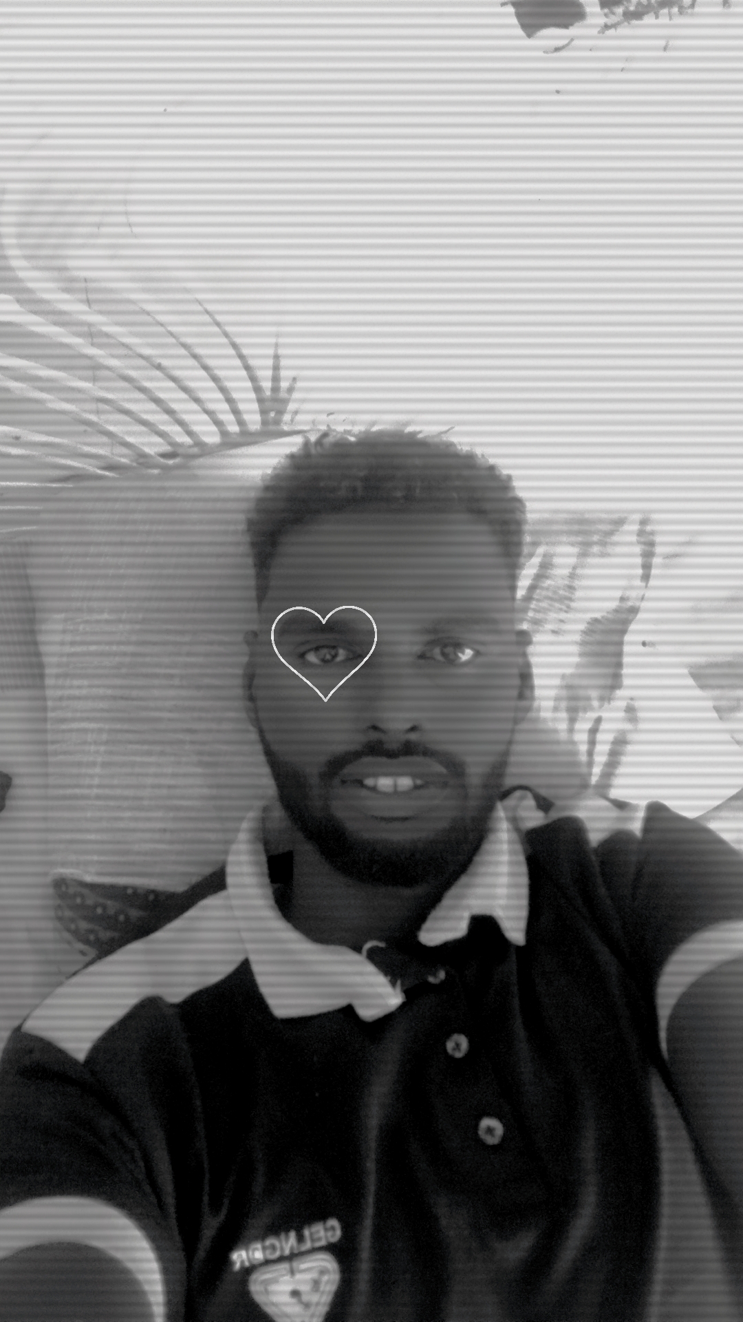 ��� ���� ���� ��� ����_wM7B0