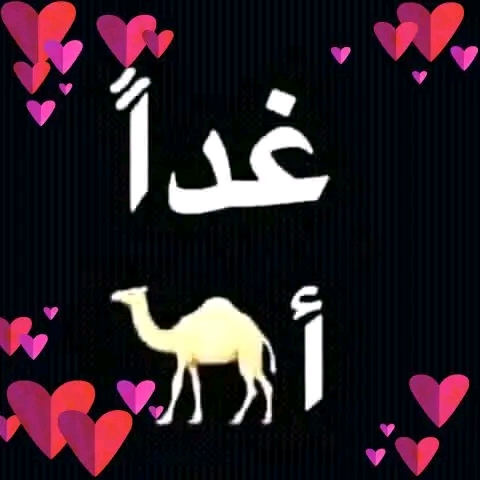 ramy555re alkboor_YodRf