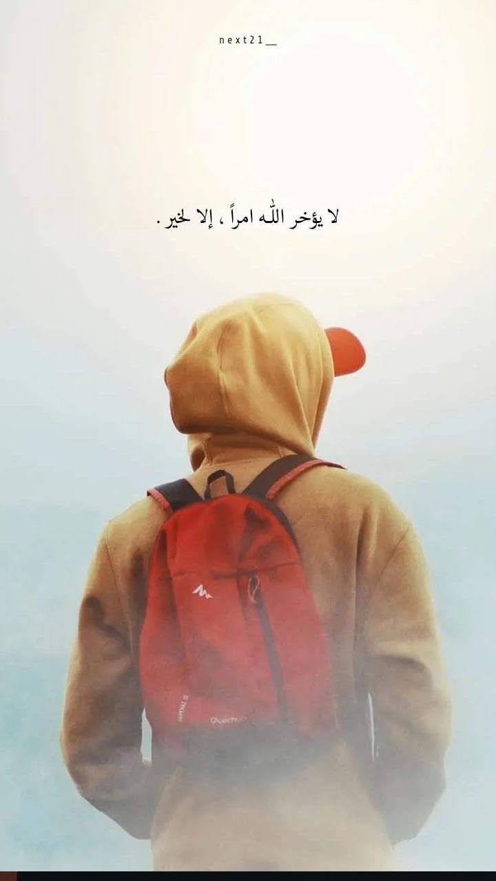 ��� ������ ������ ���_zbTGr