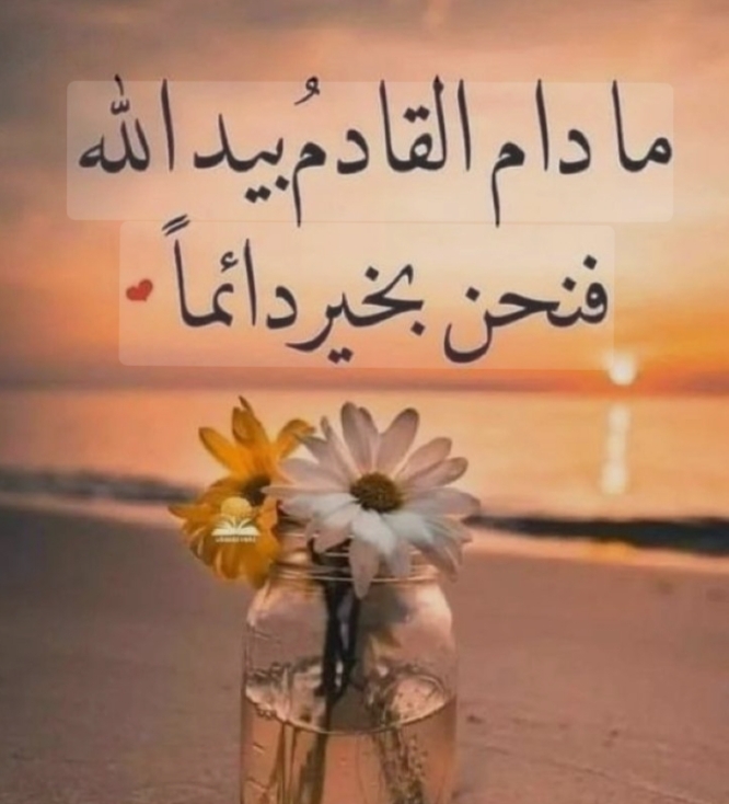  _oiphO