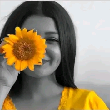  _Sg29E