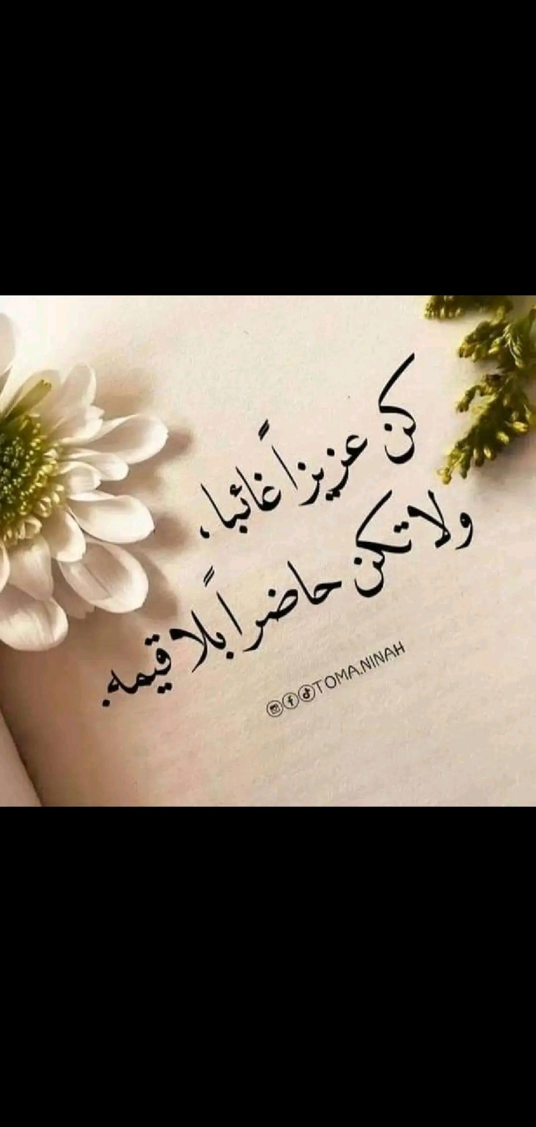 ��� ����� ���� �������_kRLZE