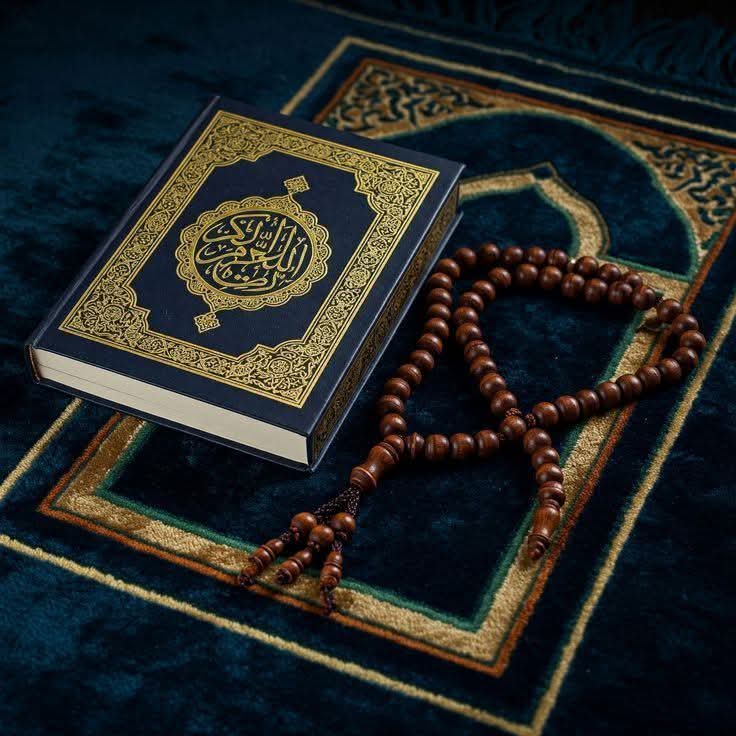 ���� ������_A56QU