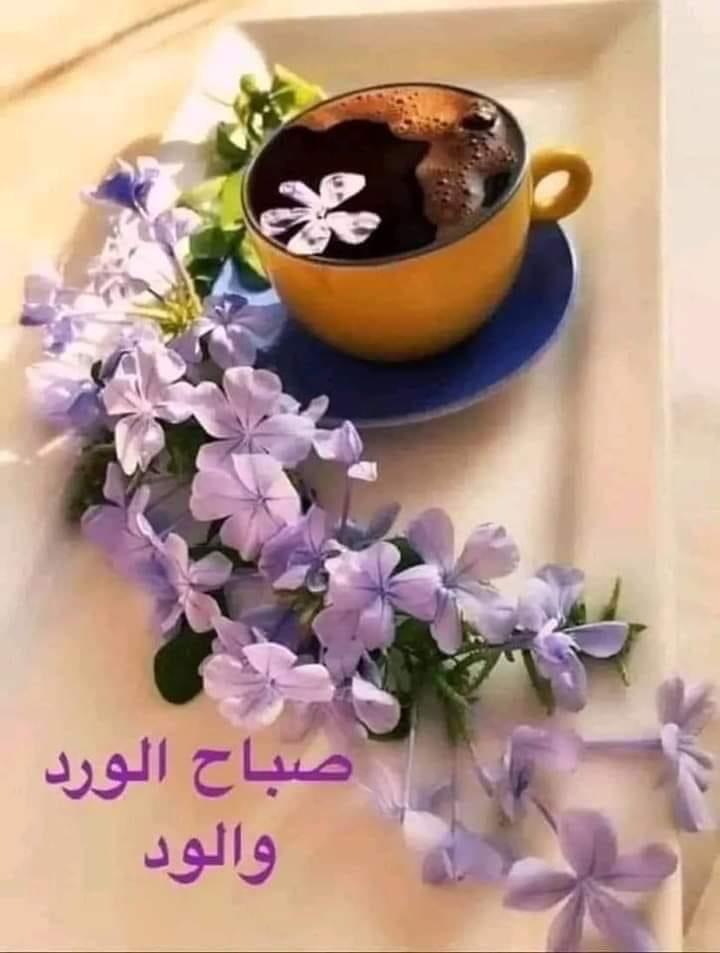 ���� �������_SYUX8