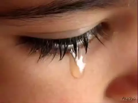 ����� ����