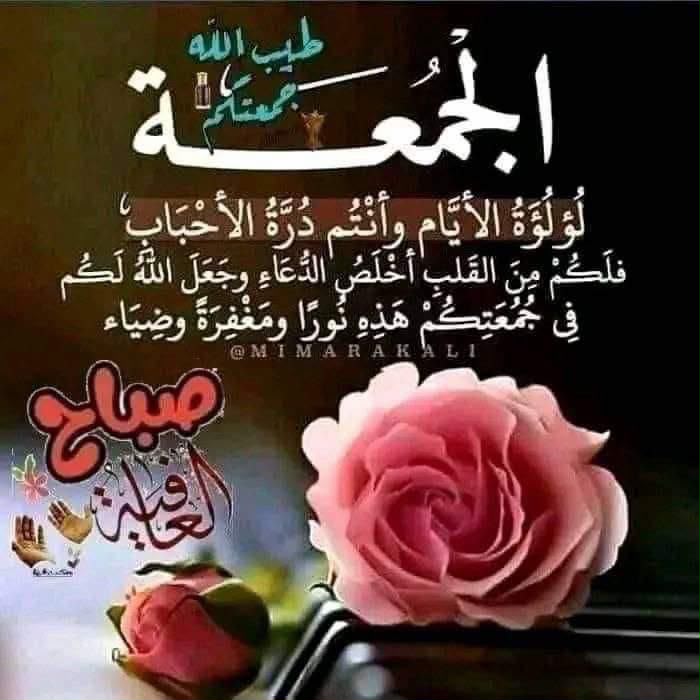 Abualdrrdaa Youssef_DWdRG