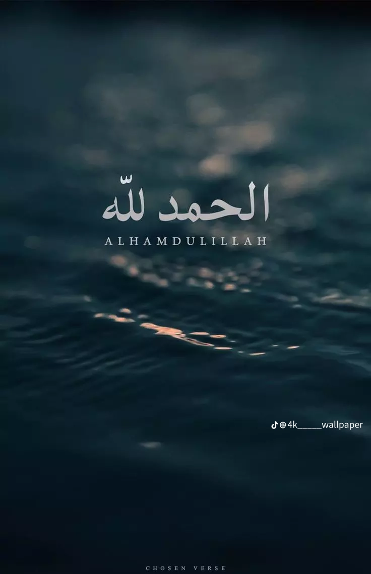 Mohamed hamed_oRh_S